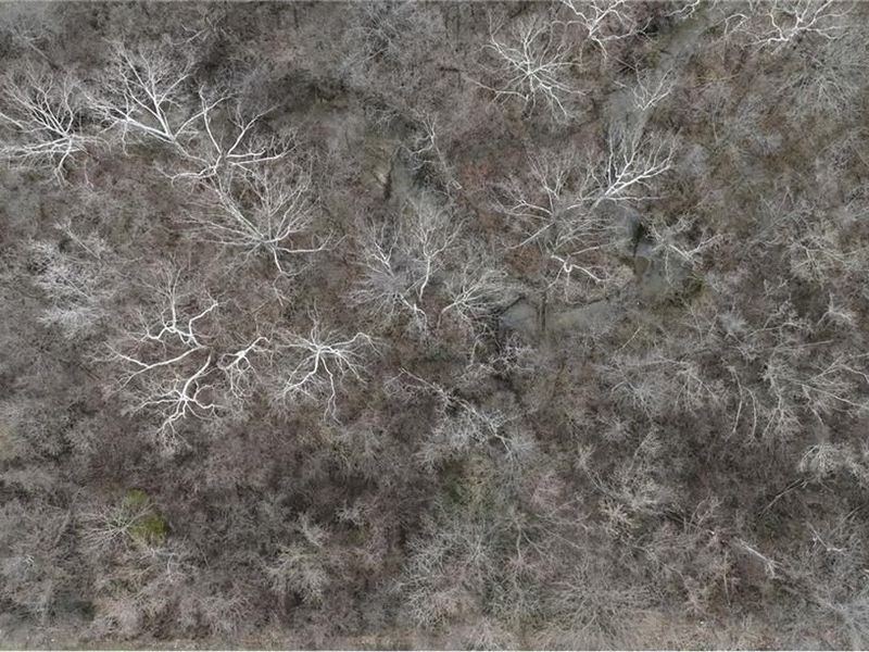 2250 Infirmary Road, Dayton, OH 45417 Photo 11