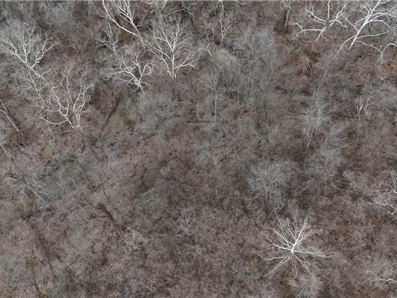 2250 Infirmary Road, Dayton, OH 45417 Photo 12