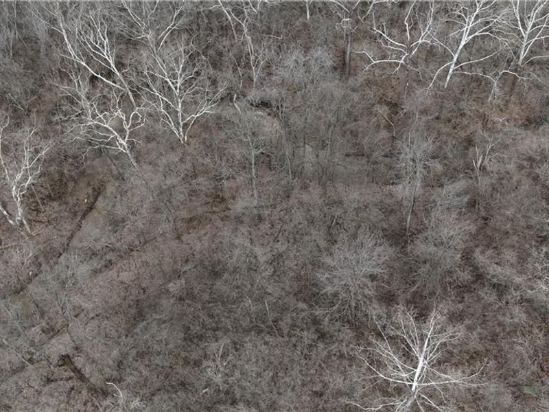 2250 Infirmary Road, Dayton, OH 45417 Photo 13