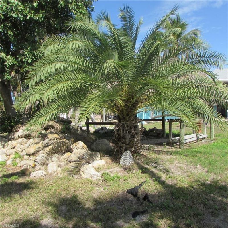 3544 Emerald Lot # 13 Ave , Saint James City, FL 33956 Photo