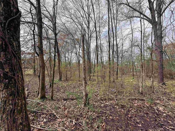 Third Street , Prescott, AR 71864