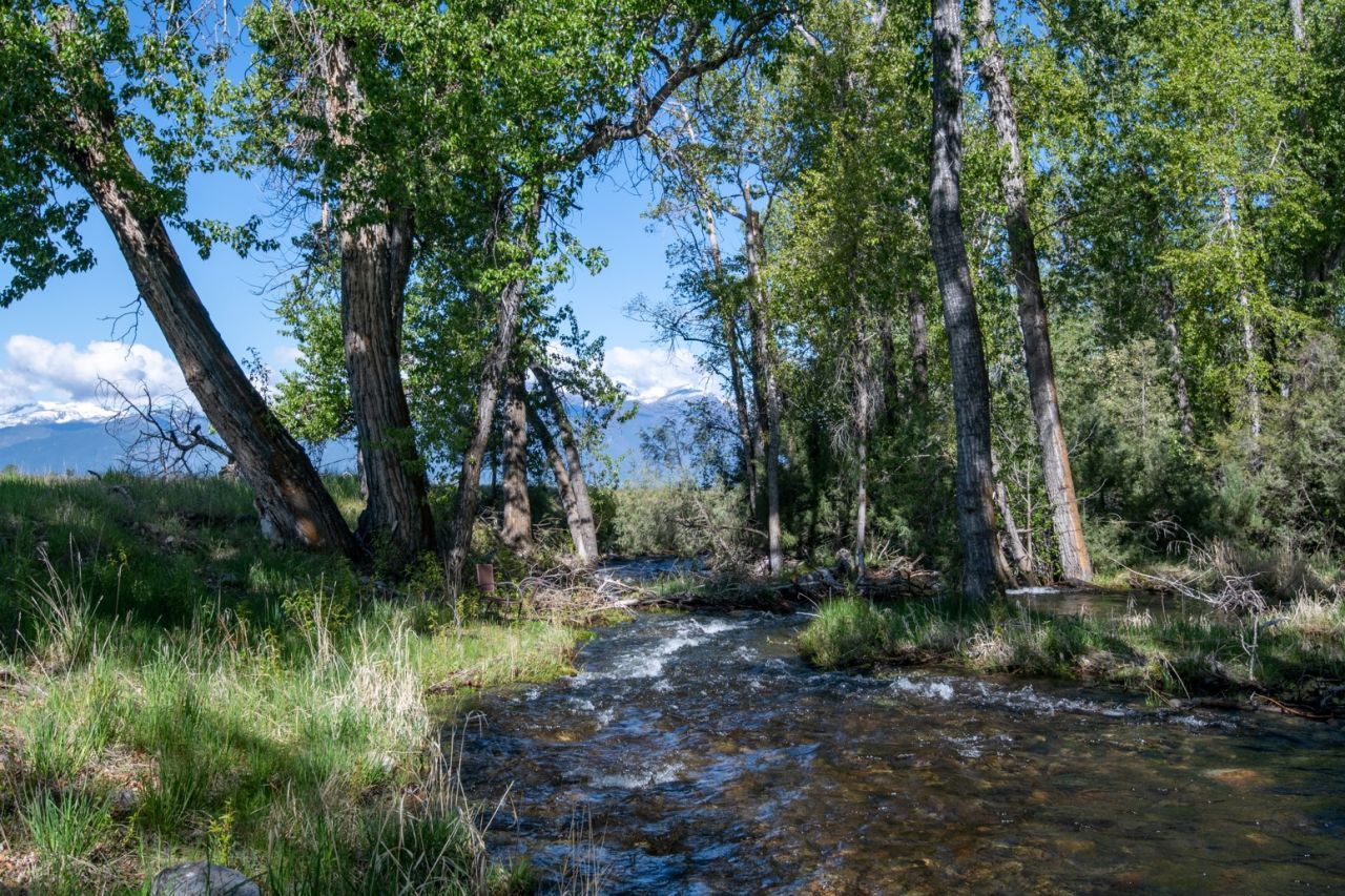 25-a Drovers Trail, Stevensville, MT 59870 Main Photo