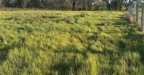 705 Shiloh Rd, Windsor, CA 95492 Photo