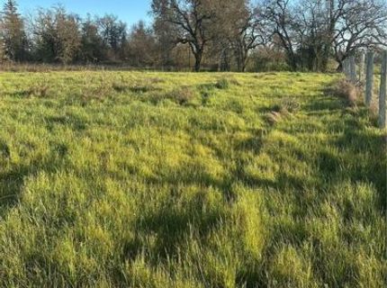 705 Shiloh Rd, Windsor, CA 95492 Photo