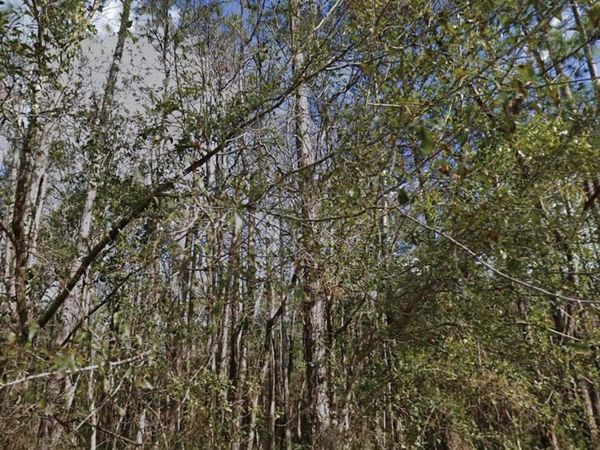 SE 3RD STREET , PALATKA, FL 32177