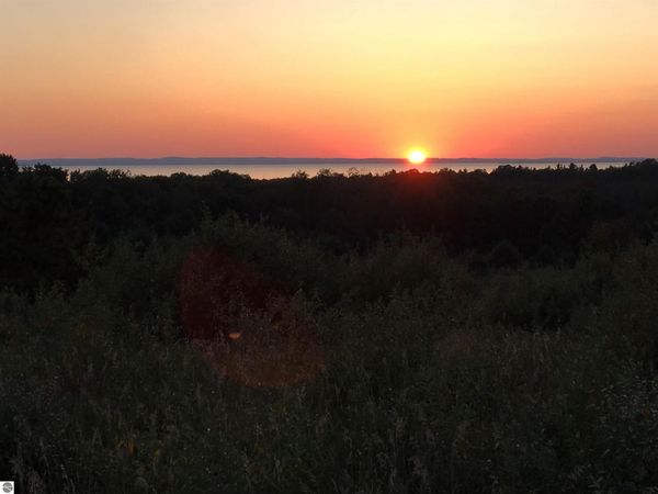 Farrell Road, Central Lake, MI 49622