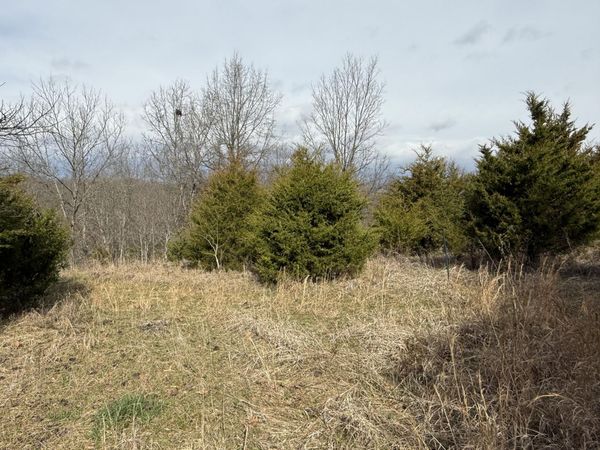 0 Mattox Road, Falmouth, KY 41040