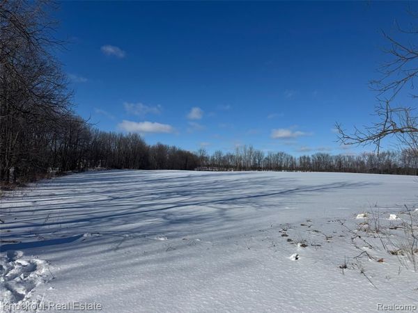 Parcel A Murphy Lake Road, Watertown Twp, MI 48744