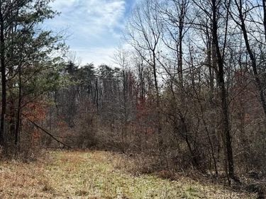 East Side State Route 335, Beaver, OH 45613