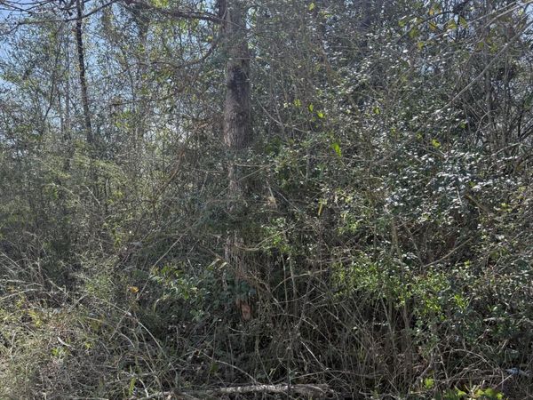 00 Mount Ararat Road, Marianna, FL 32448