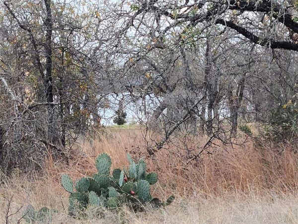 0 Peg Leg LN , Buchanan Dam, TX 78609