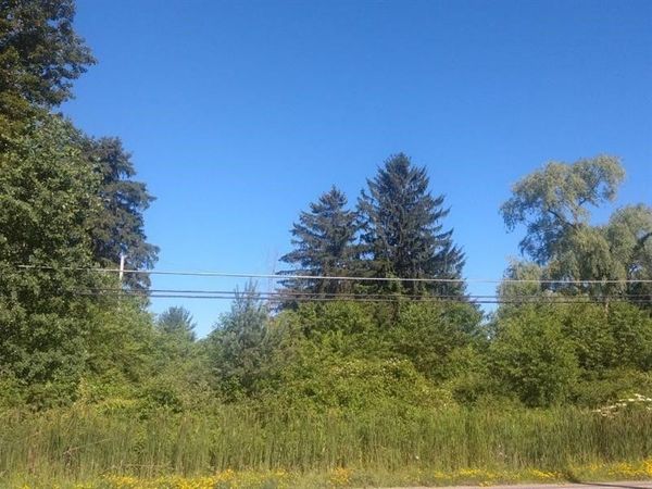 Lot 11 Rt. 618 , Conneaut Lake, PA 16316