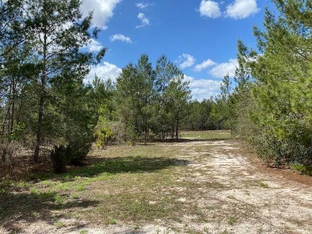 18055 SW 200 Street, Archer, FL 32618 Photo