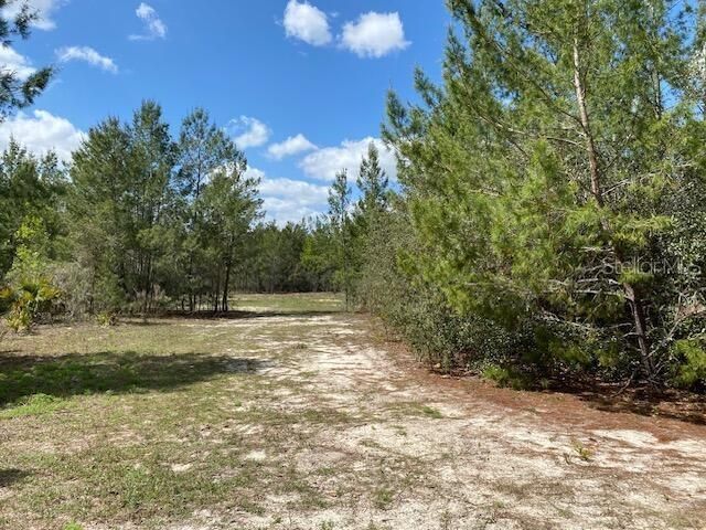 18055 SW 200 Street, Archer, FL 32618 Photo