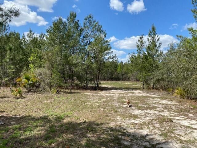 18055 SW 200 Street, Archer, FL 32618 Photo