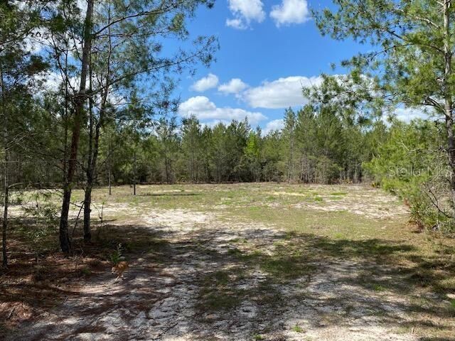 18055 SW 200 Street, Archer, FL 32618 Photo