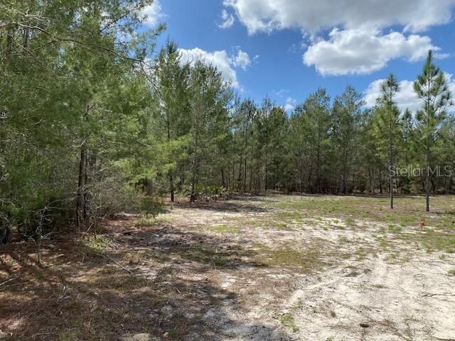 18055 SW 200 Street, Archer, FL 32618 Photo