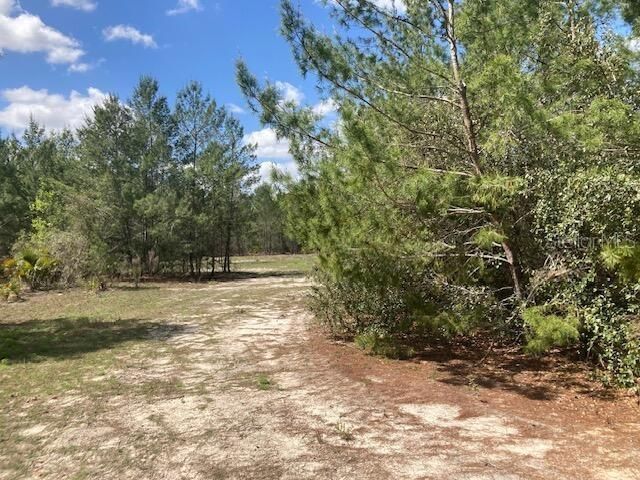 18055 SW 200 Street, Archer, FL 32618 Photo