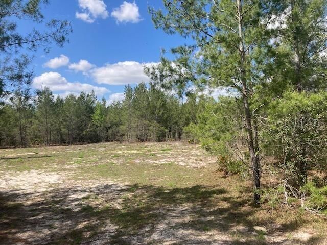 18055 SW 200 Street, Archer, FL 32618 Photo