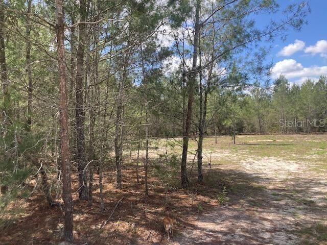 18055 SW 200 Street, Archer, FL 32618 Photo