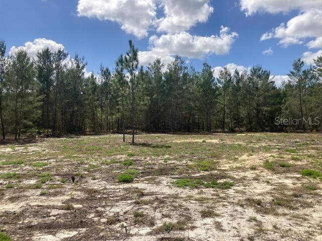 18055 SW 200 Street, Archer, FL 32618 Photo