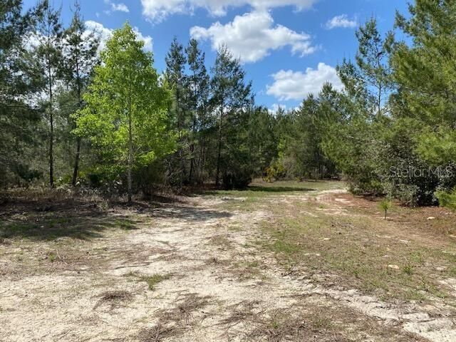 18055 SW 200 Street, Archer, FL 32618 Photo