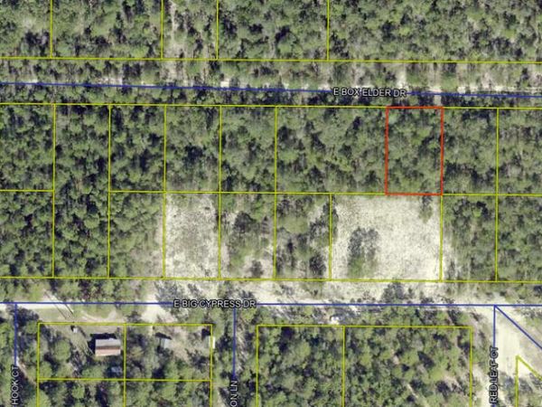 lot 29 E Box Elder Drive, DeFuniak Springs, FL 32433