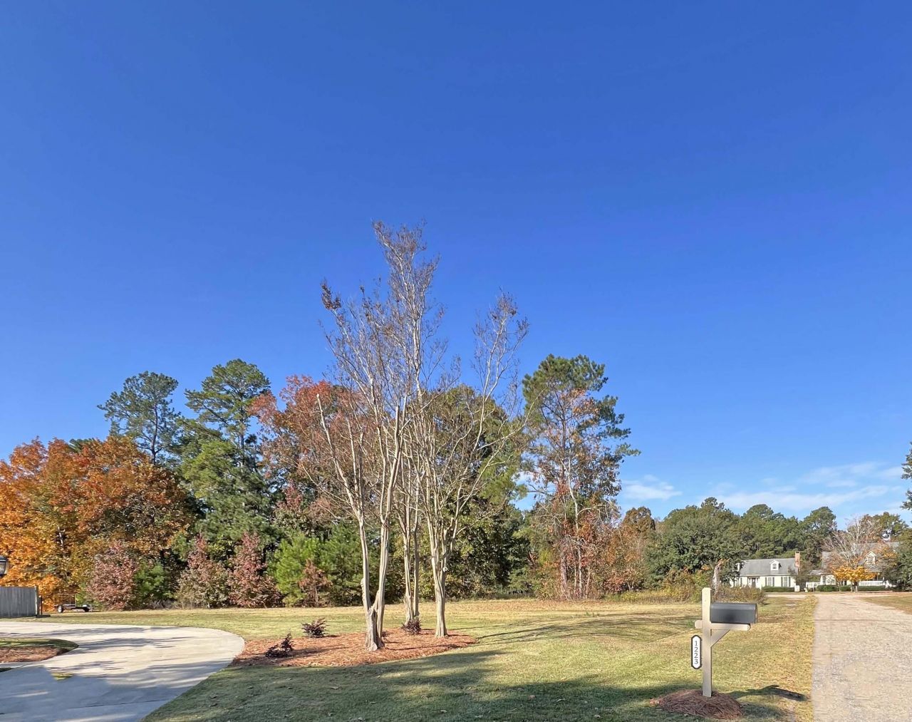 1223 Fishing Place Photo 10