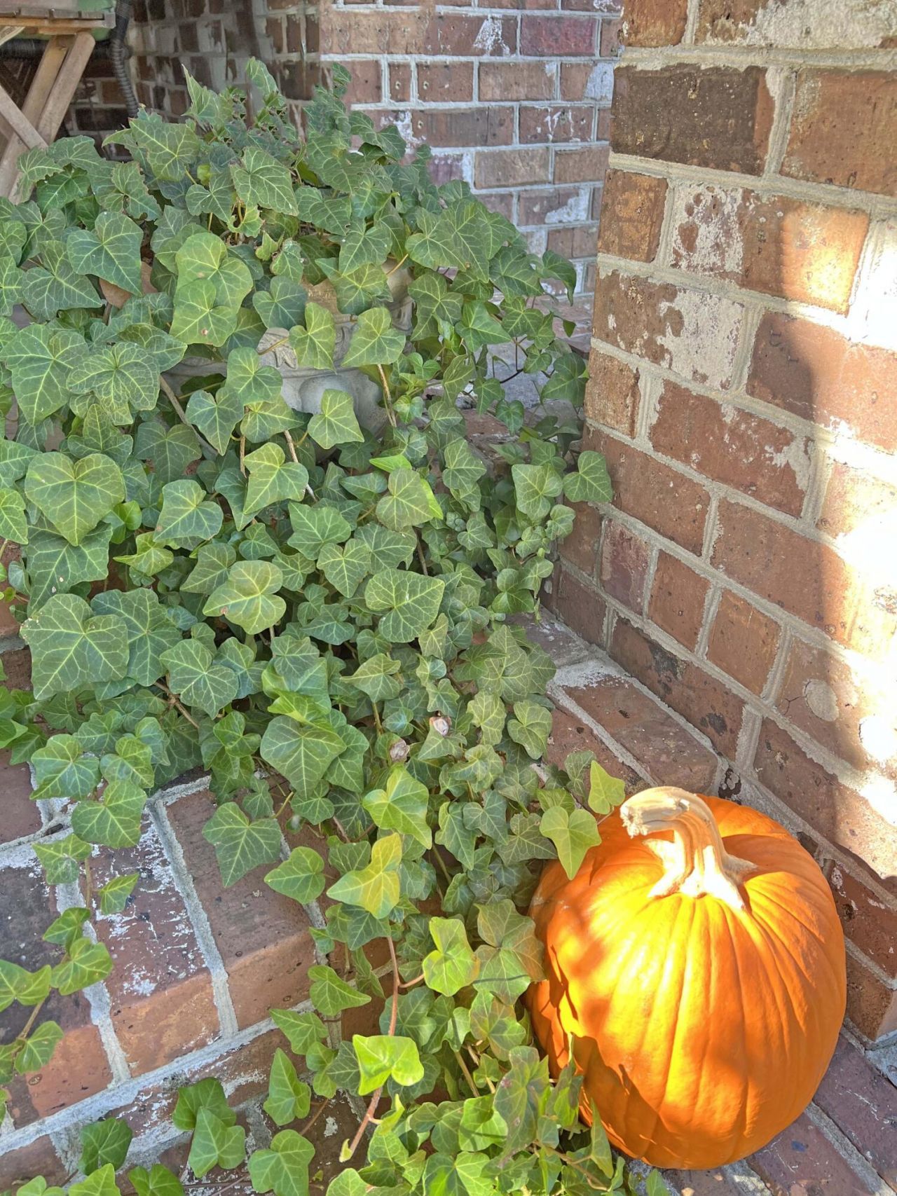 1223 Fishing Place Photo 12