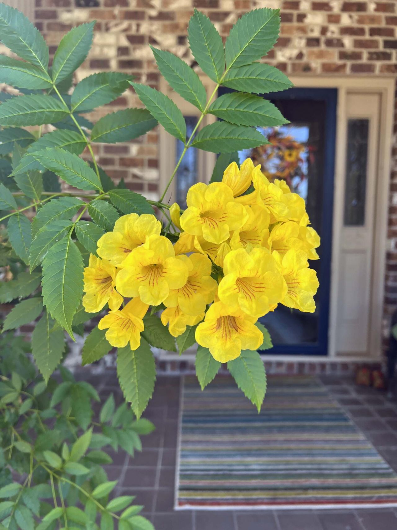 1223 Fishing Place Photo 16