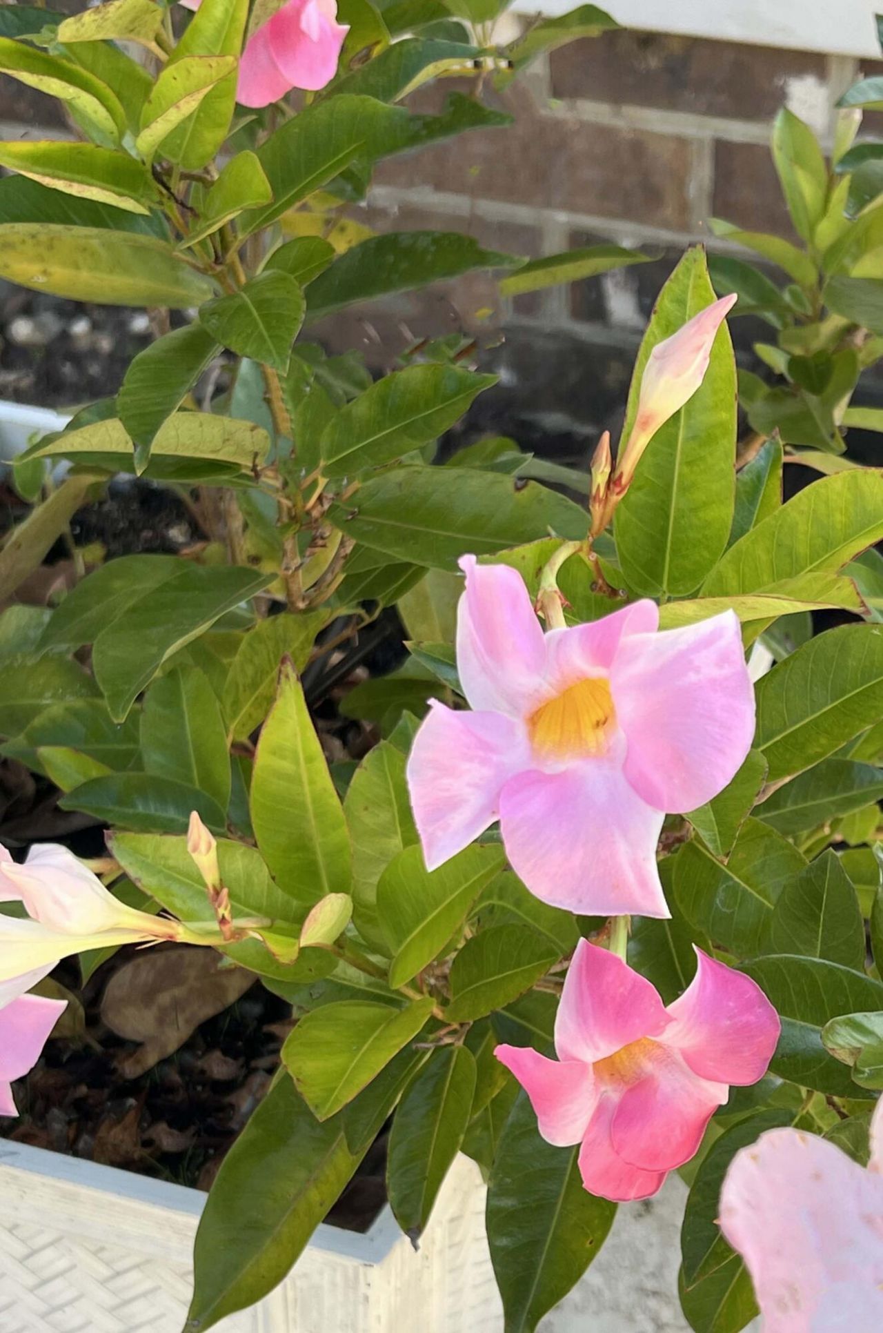 1223 Fishing Place Photo 17