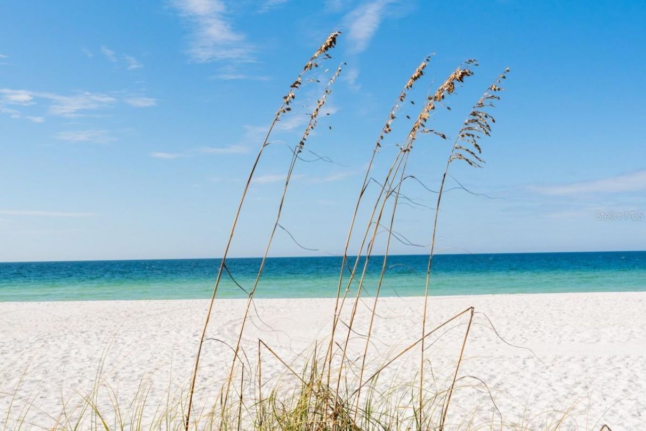 2312 Gulf Drive N, Unit 103, Bradenton Beach, FL 34217 Photo