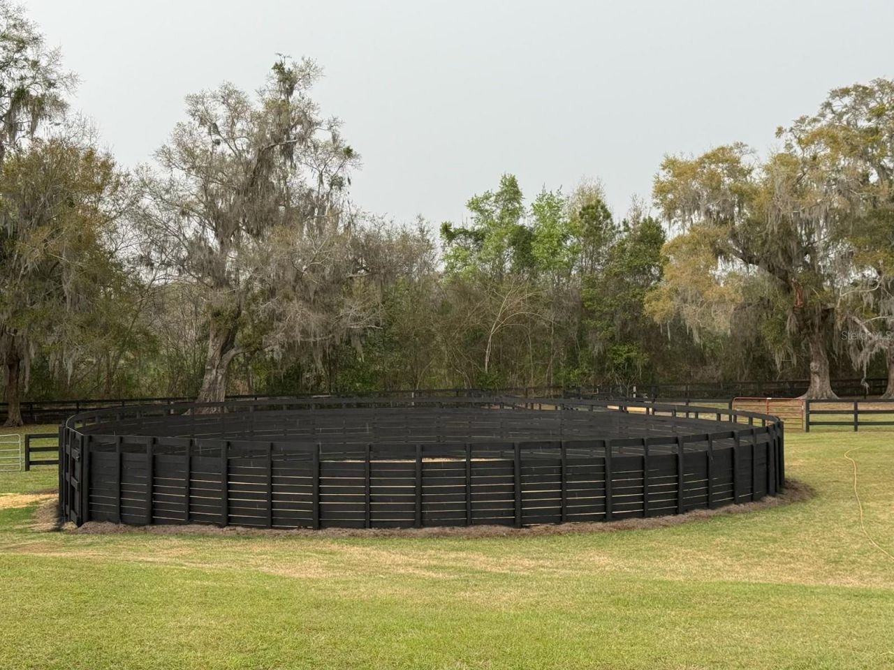 3245 NW 137th Place, Reddick, FL 32686 Photo