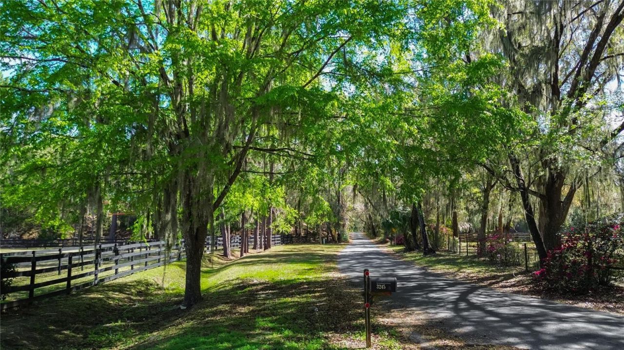 3245 NW 137th Place, Reddick, FL 32686 Photo