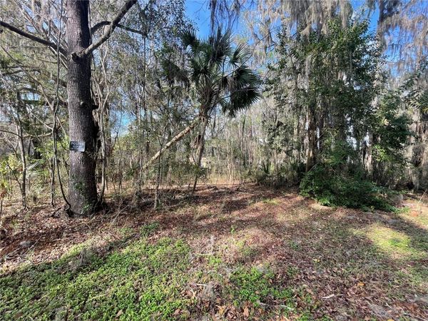 TBD SE 40TH LOOP , OCALA, FL 34480