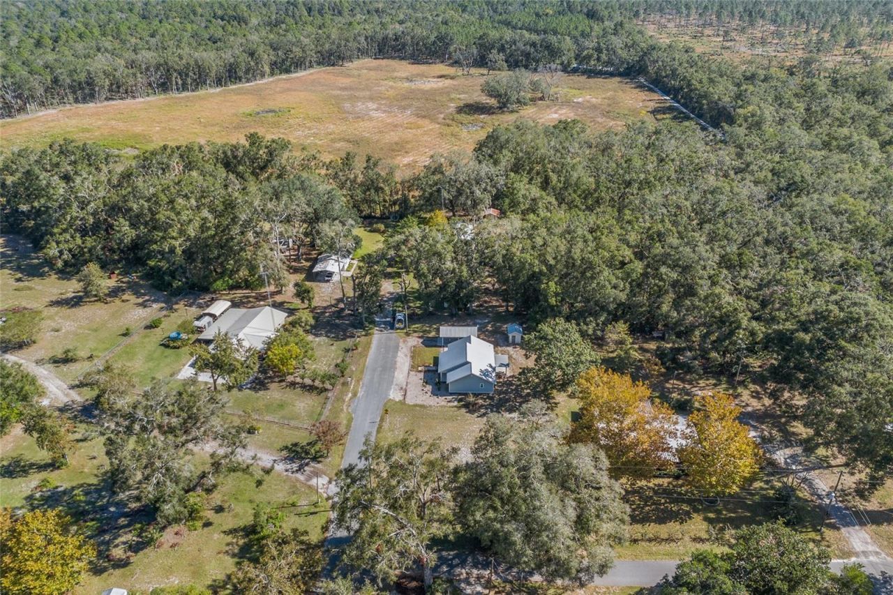 3109 E Bryant Avenue , Bell, FL 32619 Photo