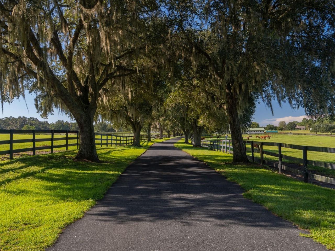 11130/11122 W Highway 326, Ocala, FL 34482 Photo