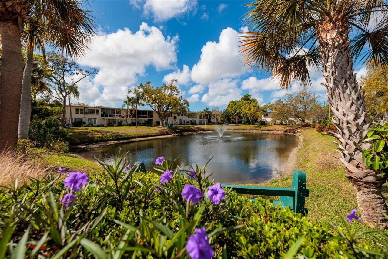 4143 56th Street N, Unit 903, Kenneth City, FL 33709 Photo