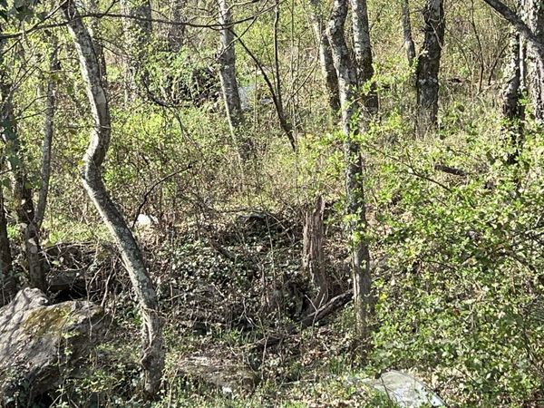 0 Sumpter St , Pulaski, TN 38478