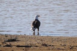 1792 Sailing Club Road photo 4