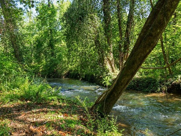 1282 Riverbank Ridge, Chattanooga, TN 37415