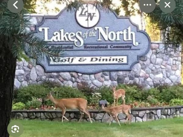 Lot 185 Forestgrove Court ForestGrove Road, Mancelona Twp, MI 49730