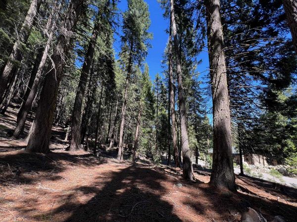 84 Yonkalla Trail, Graeagle, CA 96103