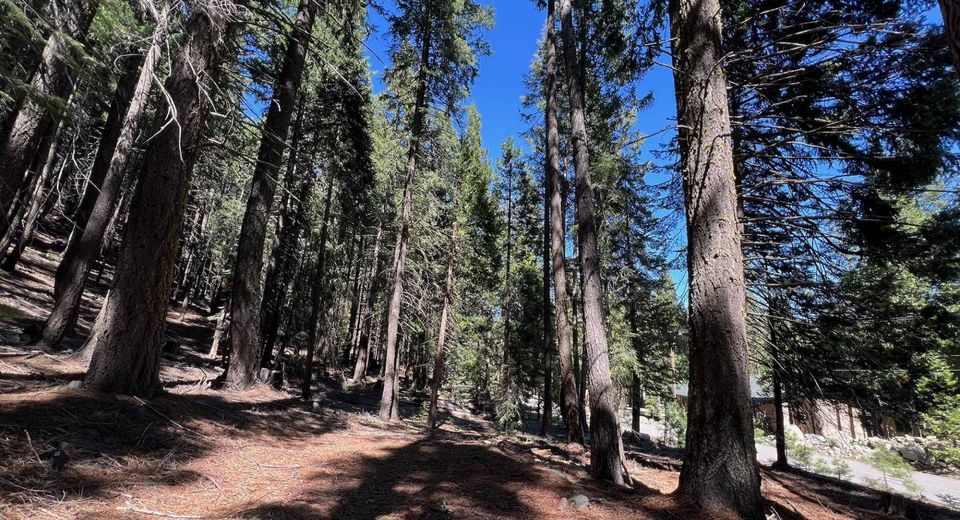 84 Yonkalla Trail, Graeagle, CA 96103 Photo