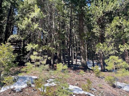 84 Yonkalla Trail, Graeagle, CA 96103 Photo