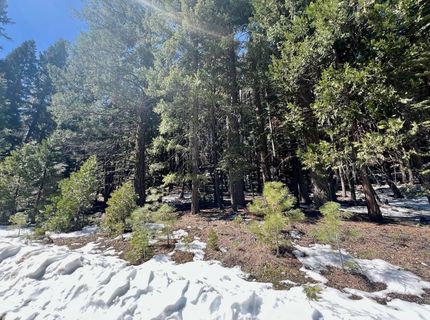 84 Yonkalla Trail, Graeagle, CA 96103 Photo