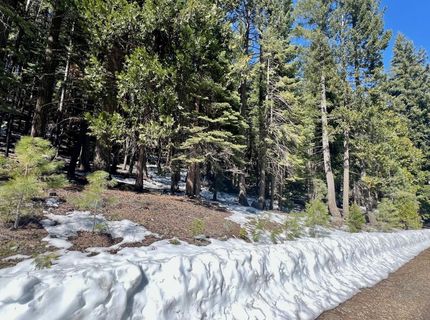 84 Yonkalla Trail, Graeagle, CA 96103 Photo
