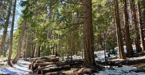 84 Yonkalla Trail, Graeagle, CA 96103 Photo