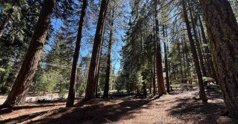 84 Yonkalla Trail, Graeagle, CA 96103 Photo