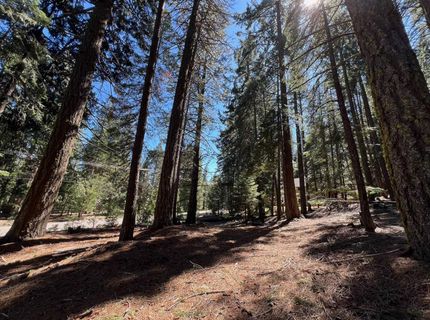 84 Yonkalla Trail, Graeagle, CA 96103 Photo